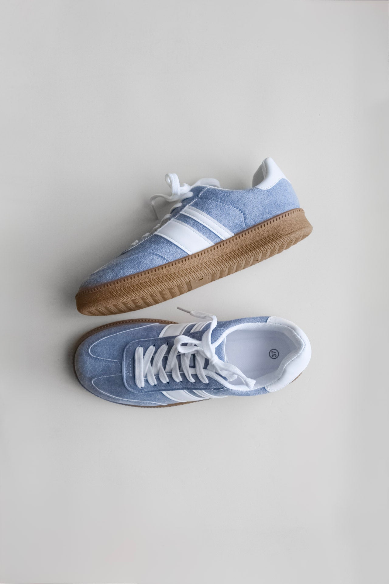 Boston Blue